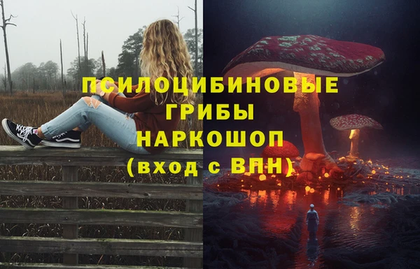 МДПВ Балахна